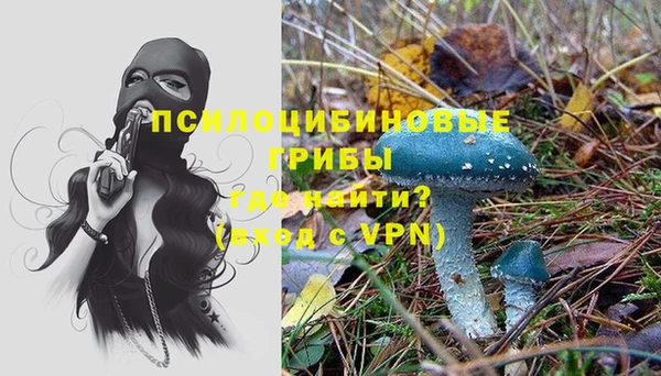 а пвп мука Нея
