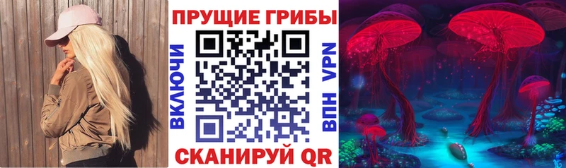 Галлюциногенные грибы Psilocybe  Черемхово 