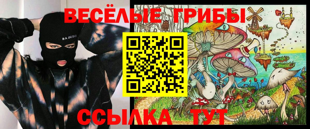 Галлюциногенные грибы Psilocybine cubensis  Вход с VPN  где купить наркотик  Галлюциногенные грибы ЛСД  Черемхово 